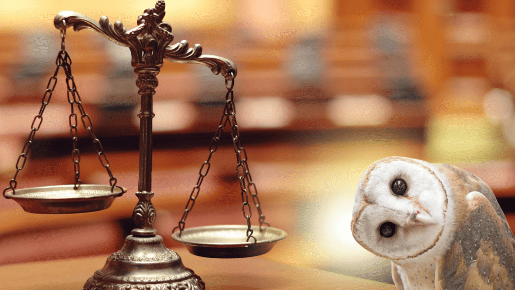 Manifestation as moral law