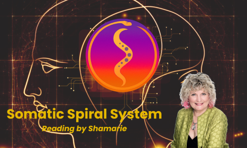 Somatic Spiral system