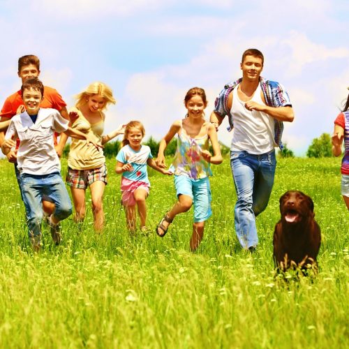 Happy group people summer outdoor with dog.
