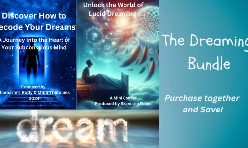 the bundle dream